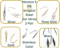 Monaco 5, Surgical Steel Earring Wires with Front Facing Loop, 2 Pair - The Argus Collection