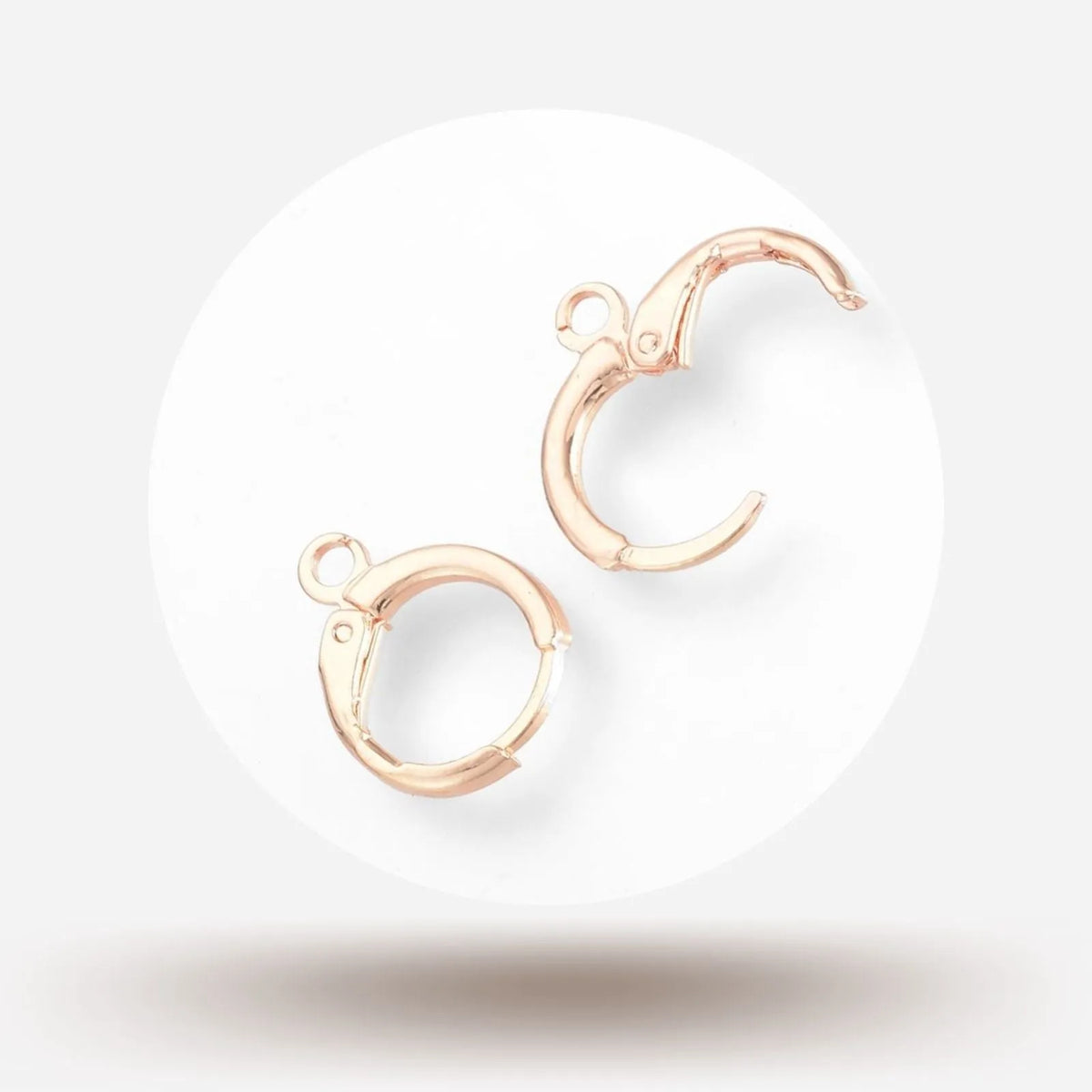 Leverback Earrings - The Argus Collection