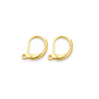 Pair of gold tone 304 stainless steel leverback earring findings with loop.