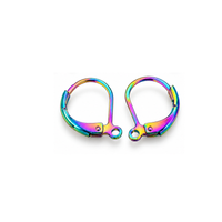 Pair of rainbow 304 stainless steel leverback earring findings with loop.