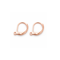 Pair of rose gold tone 304 stainless steel leverback earring findings with loop.