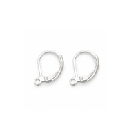 Pair of silver tone 304 stainless steel leverback earring findings with loop.