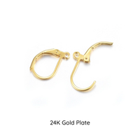 Leverback Earrings with loop, 304 Stainless Steel, 5 Pair, 4 Finishes