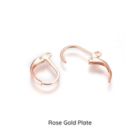 Leverback Earrings with loop, 304 Stainless Steel, 5 Pair, 4 Finishes