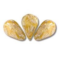 Amos Beads Opaque White New Picasso 