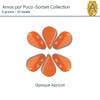 Amos par Puca 5g. Sorbet Collection, 5 Colors - The Argus Collection