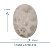 Fossil Coral, Large Oval Cabochons, Glossy or Matte, 40x55mm