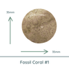Fossil Coral Round Cabochons, 35mm