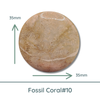 Fossil Coral Round Cabochons, 35mm