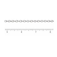 HeavyCableChainSilverPlate-Example - The Argus Collection