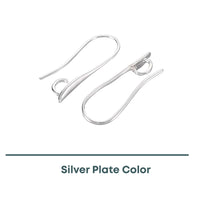 Hidden Loop Ear Wires, 2 Pair - The Argus Collection