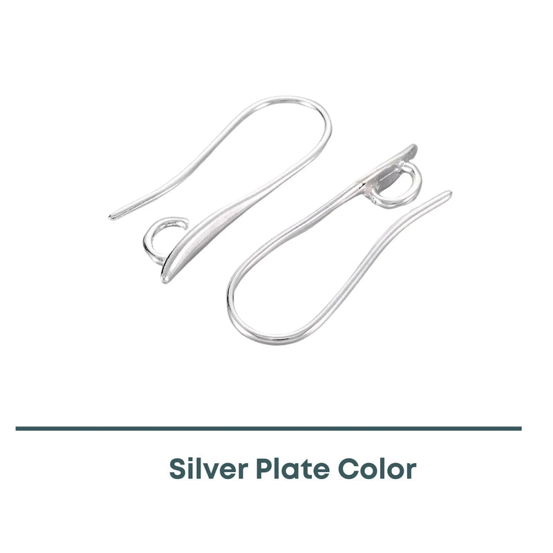 Hidden Loop Ear Wires, 2 Pair - The Argus Collection