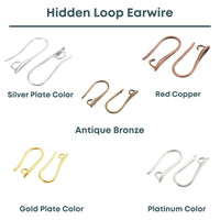 Hidden Loop Ear Wires, 2 Pair - The Argus Collection