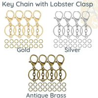 Keychain with Lobster Clasp and Chain - Keychain with Lobster Clasp and Chain - Silver , The Argus Collection
