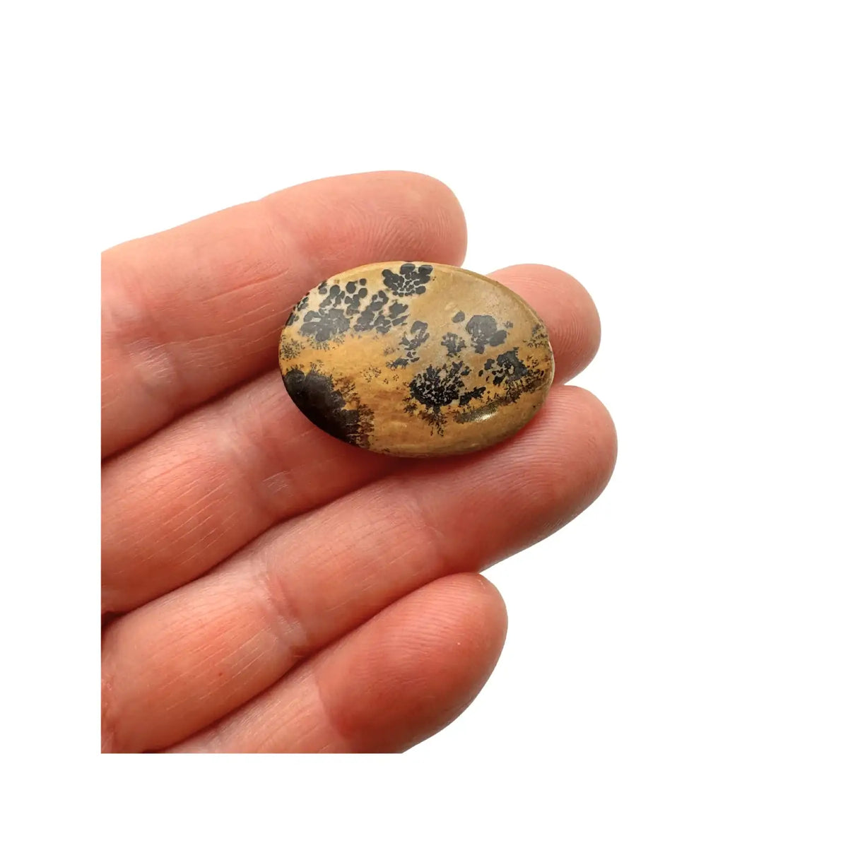 Landscape Stone Oval Cabochons, Light Hue, 22x30mm - The Argus Collection