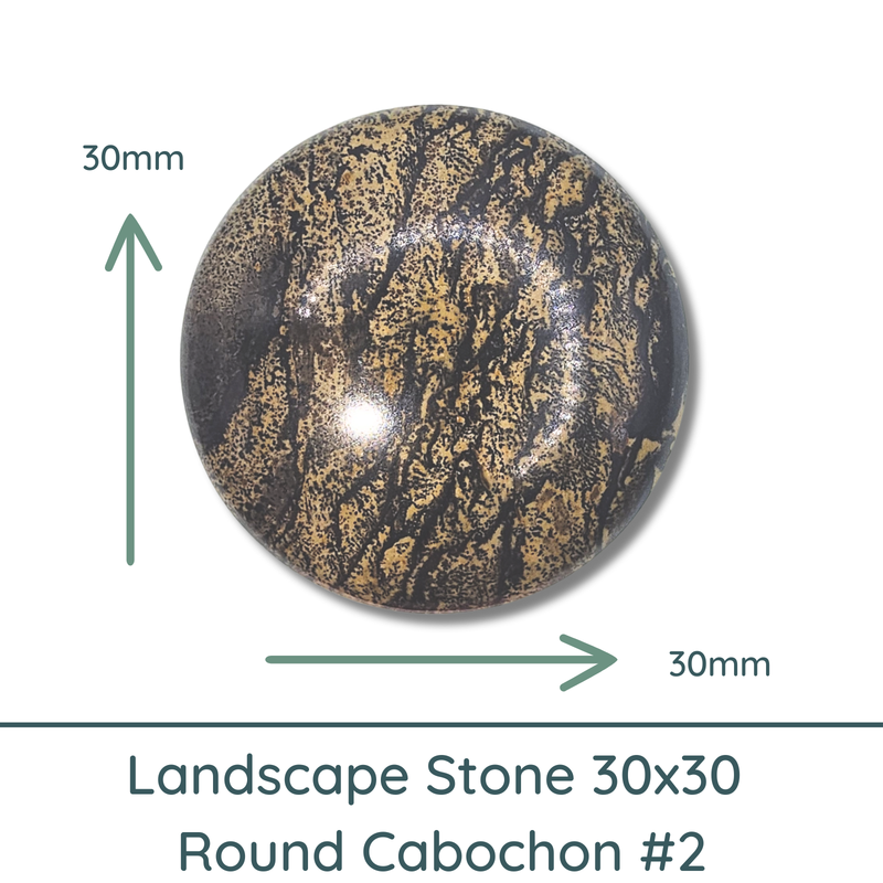 Landscape Stone Round Cabochons, 30x30mm