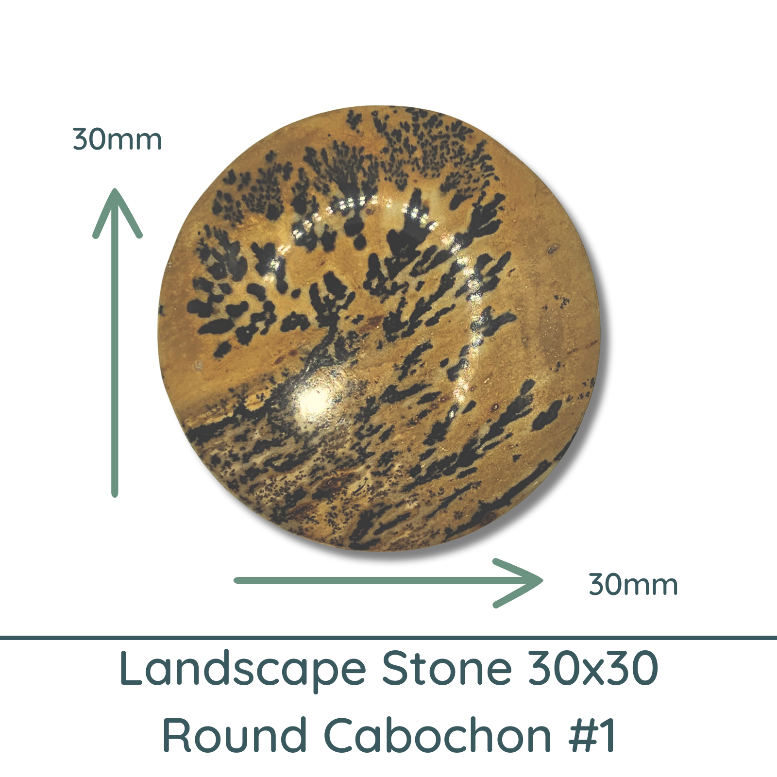 Landscape Stone Round Cabochons, 30x30mm