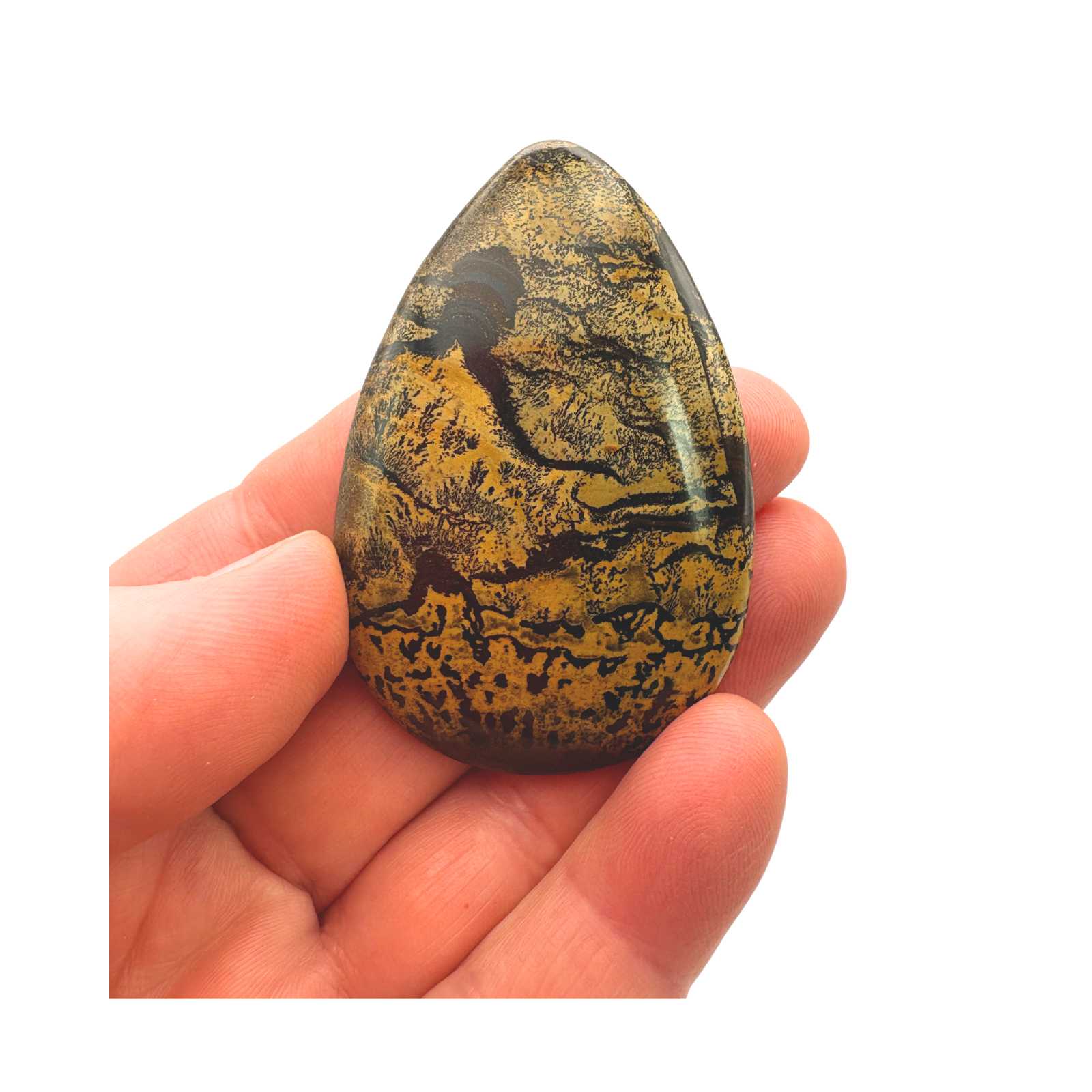 Large Landscape Stone Teardrop Cabochon