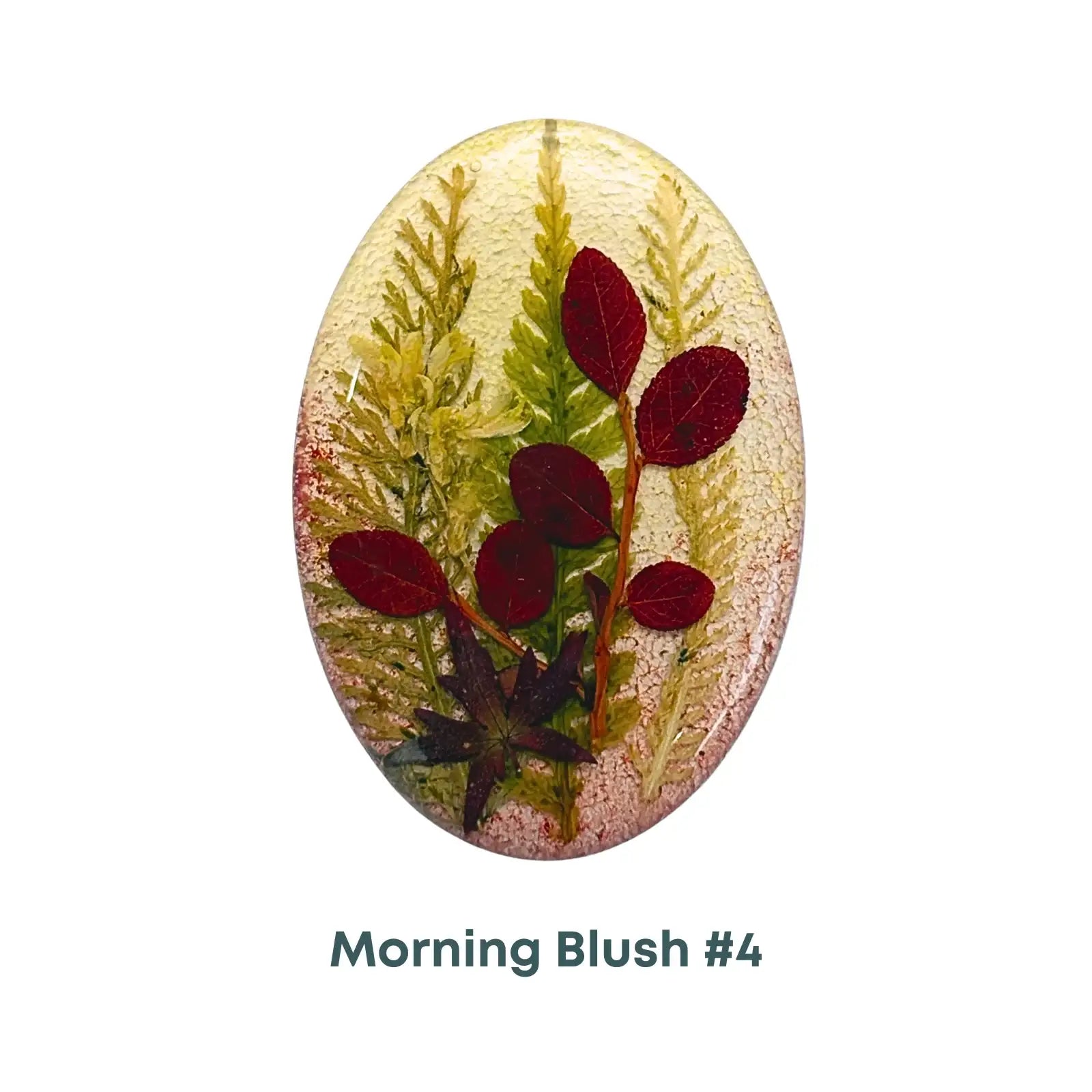 MorningBlush_4 - The Argus Collection