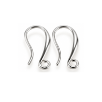 PARIS16-Silver - The Argus Collection