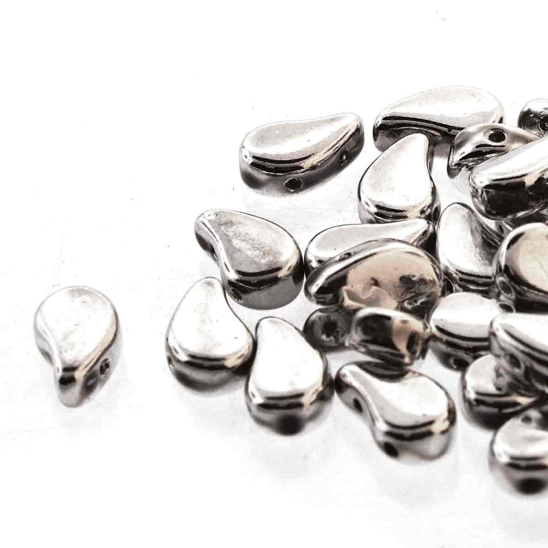 Paisleyduo Full Labrador