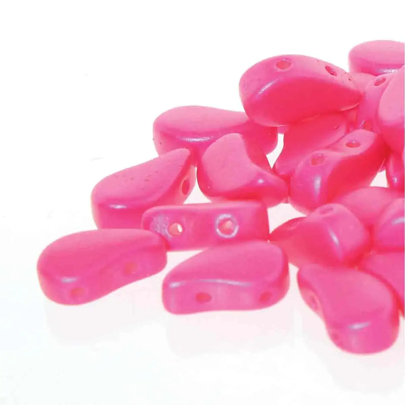 Paisleyduo Tutti Frutti Pitahaya