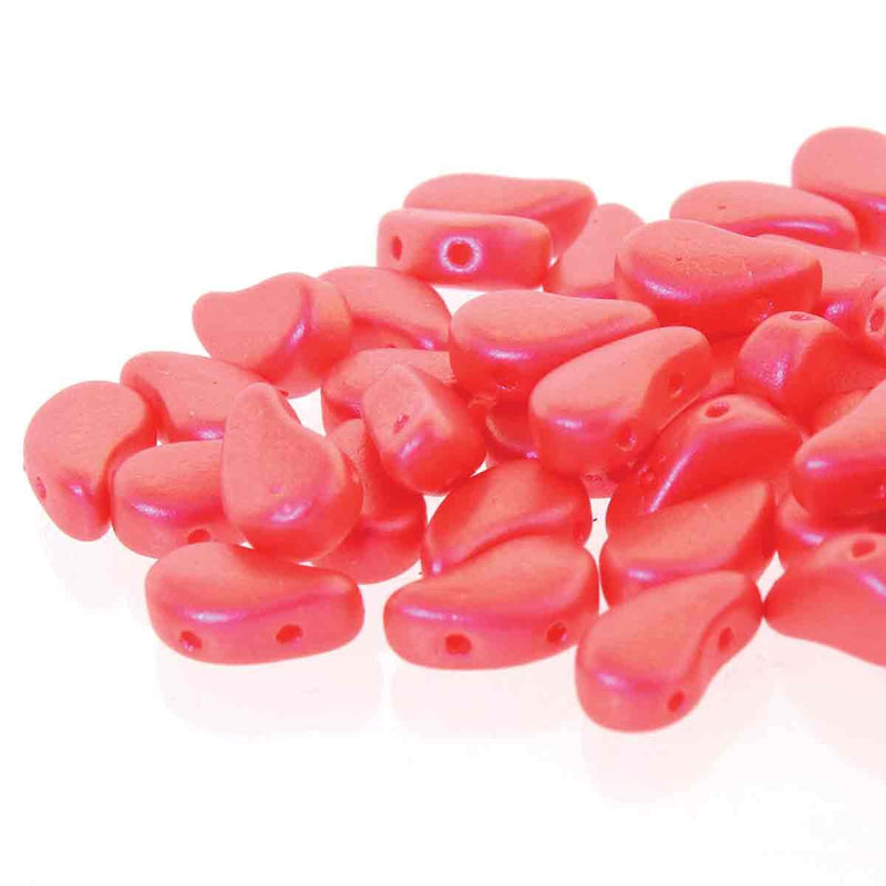 Paisleyduo Tutti Frutti Watermelon