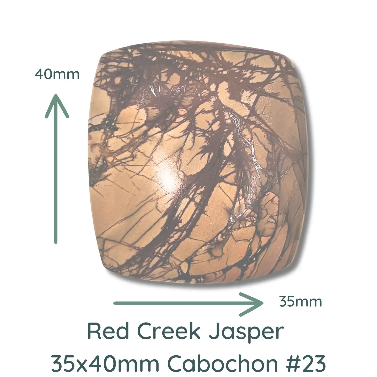 Red Creek Jasper Cabochons, 36mm Square & 35x40mm - The Argus Collection