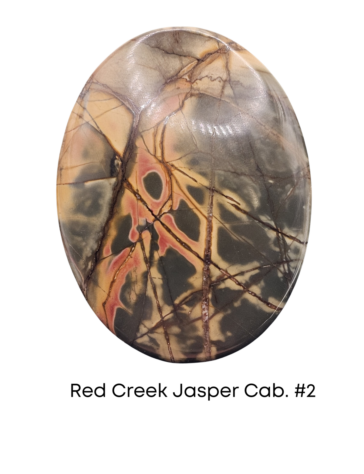 Red Creek Jasper Cabochon #2 - The Argus Collection