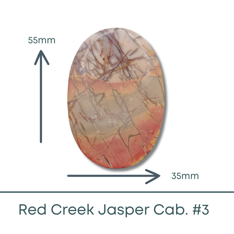 Red Creek Jasper Cabochon #3 - The Argus Collection