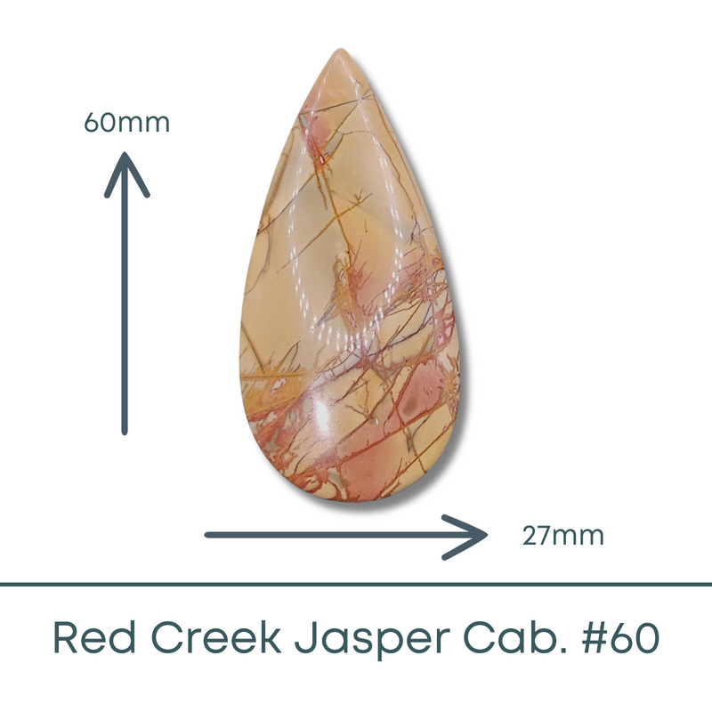 Teardrop Red Creek Jasper Teardrop Cabochon #60 - The Argus Collection