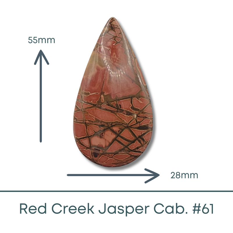 Teardrop Red Creek Jasper Cabochon #61 - The Argus Collection