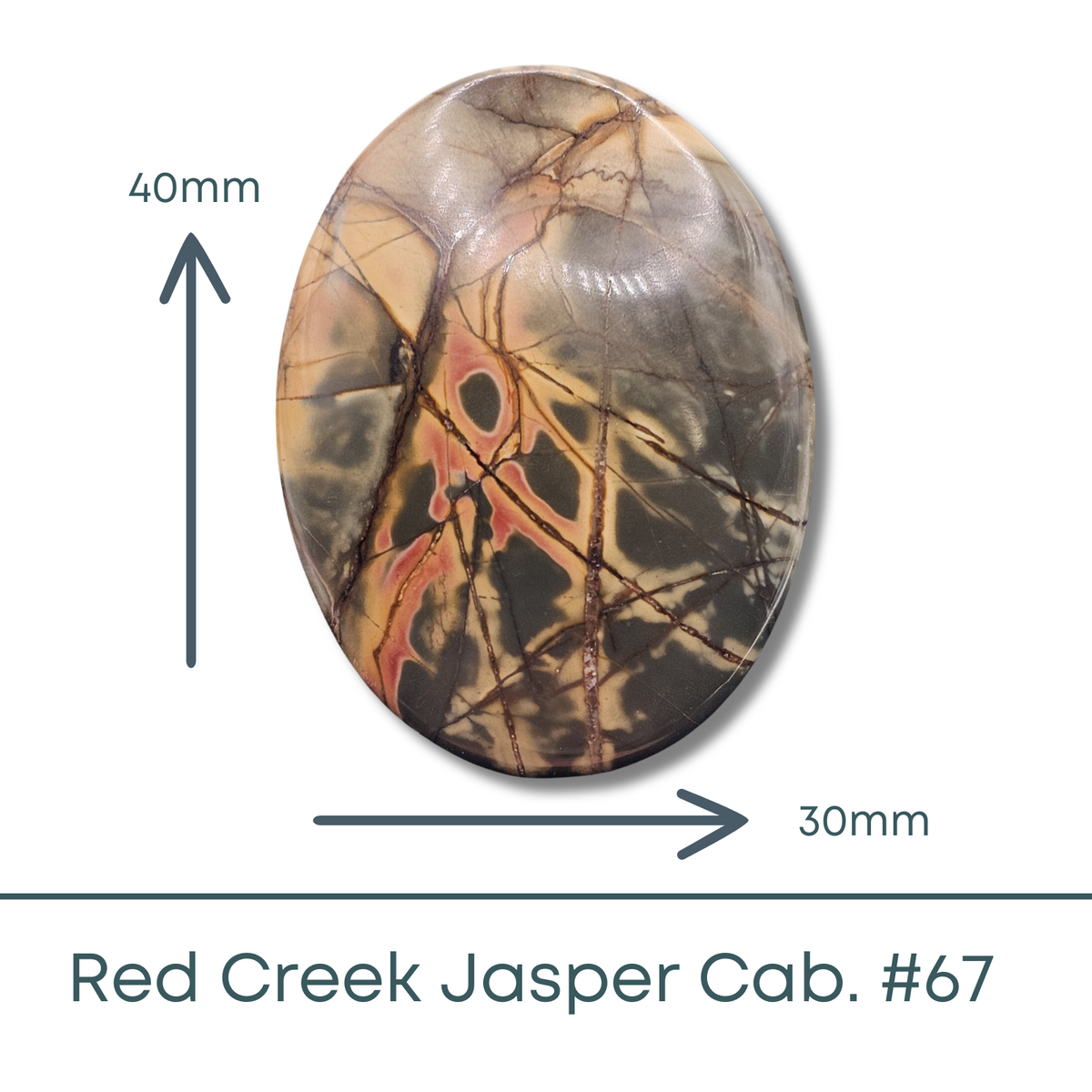 Red Creek Jasper Cabochon #2