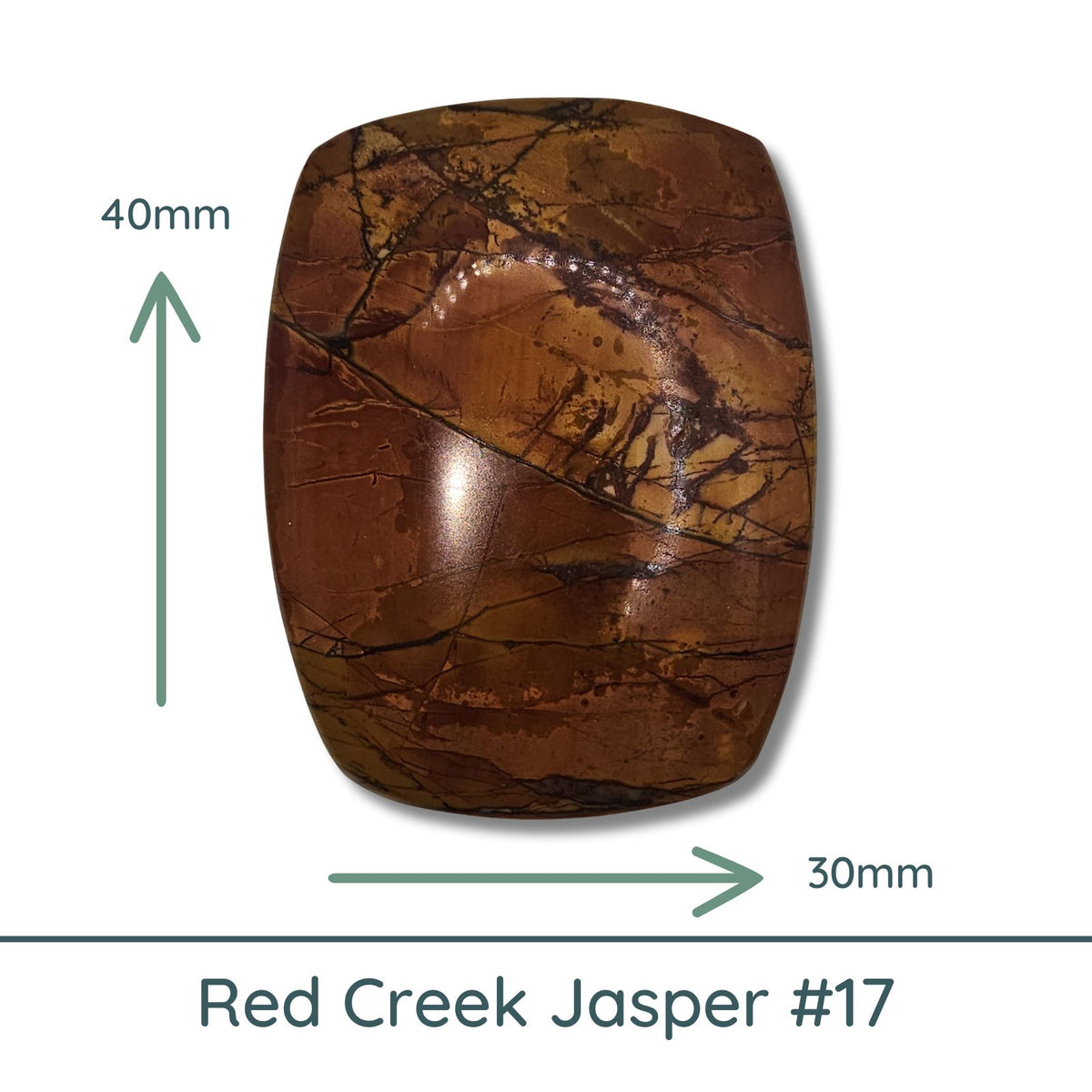 Red Creek Jasper Rounded Cabochon #18 - The Argus Collection