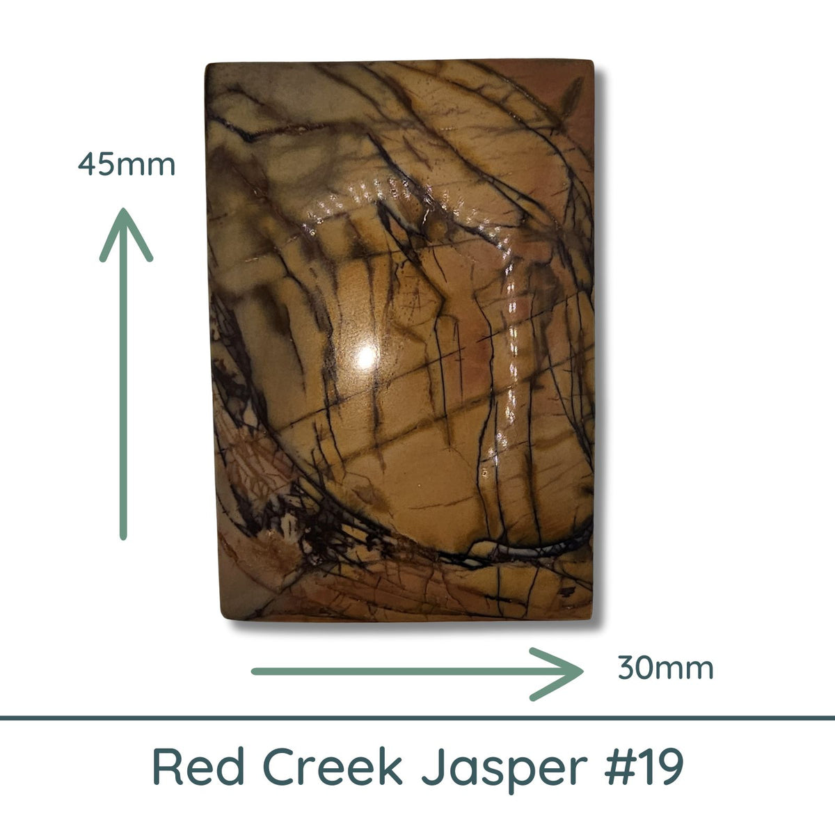 Red Creek Jasper Cabochon #19 - The Argus Collection