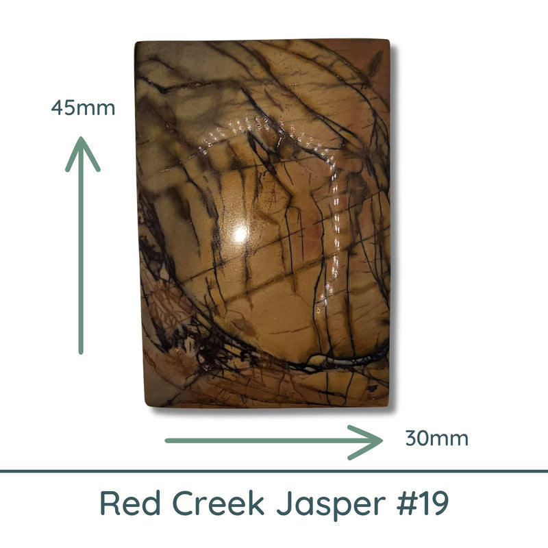 Red Creek Jasper Cabochon #19 - The Argus Collection