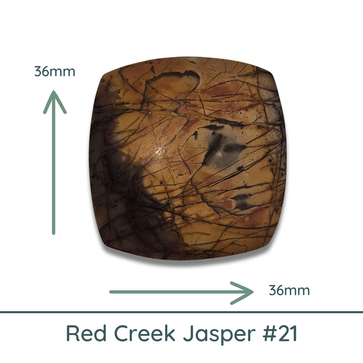 Red Creek Jasper, Square Cabochon #21 - The Argus Collection