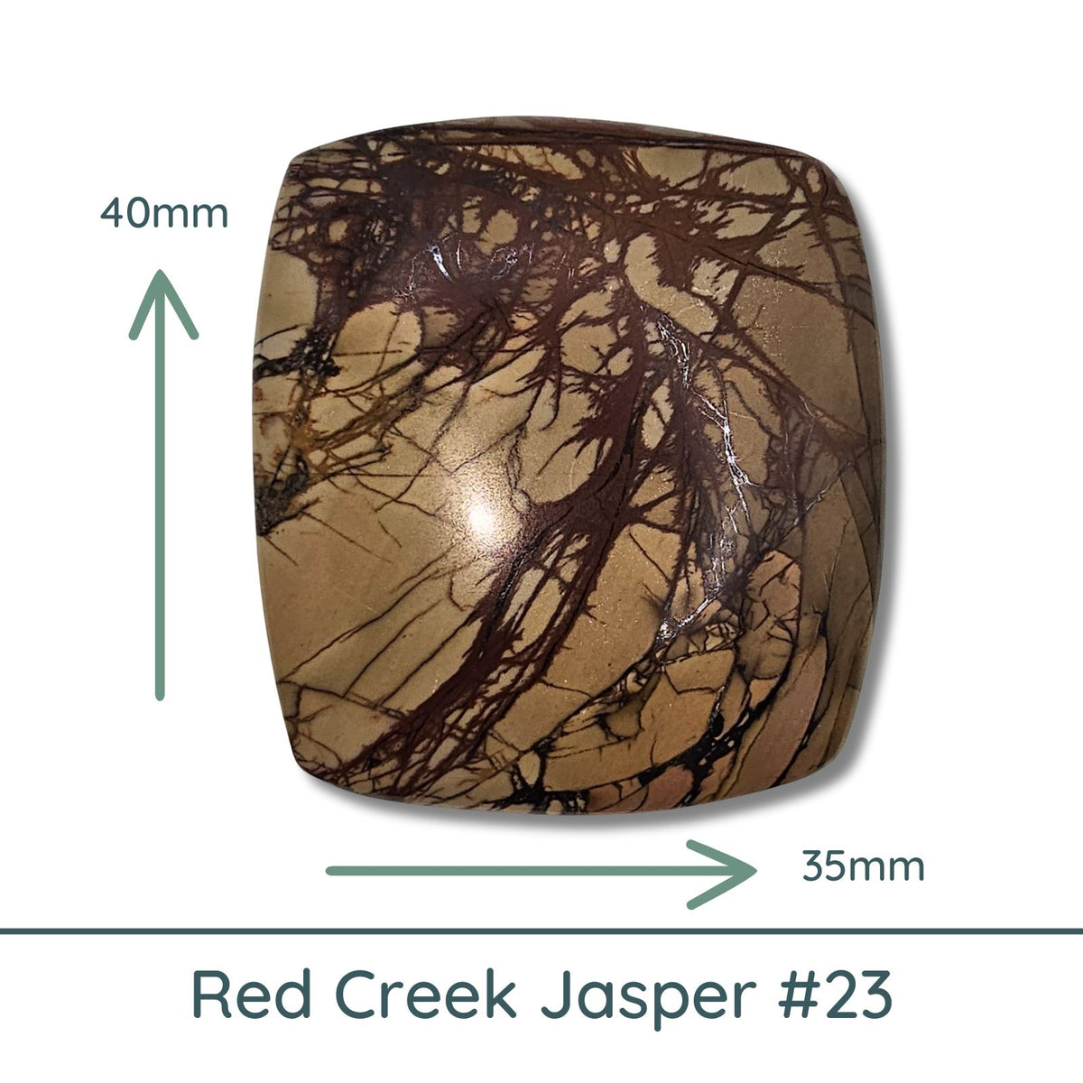 Red Creek Jasper Square Cabochon #23 - The Argus Collection