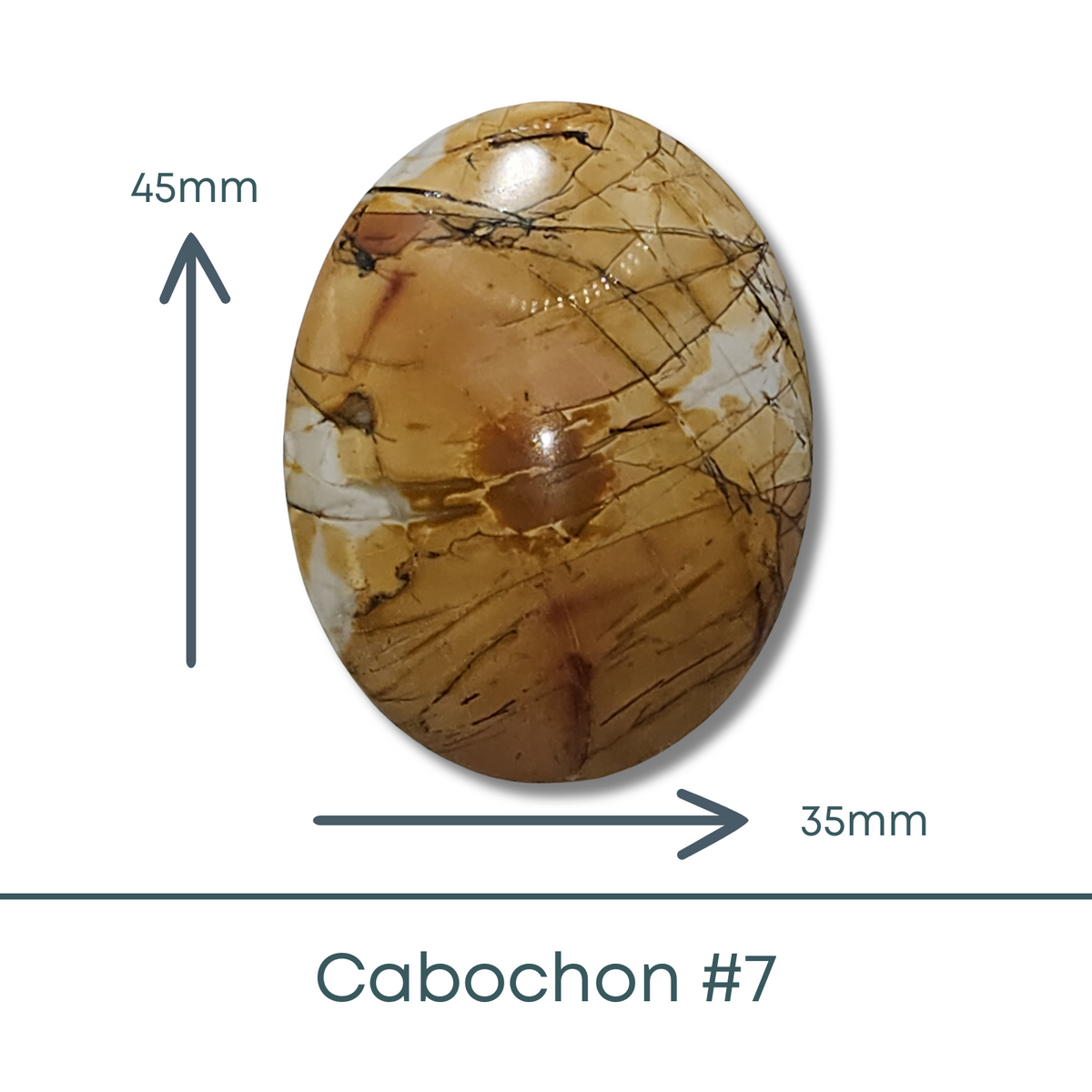 Red Creek Jasper Cabochon #7 - The Argus Collection