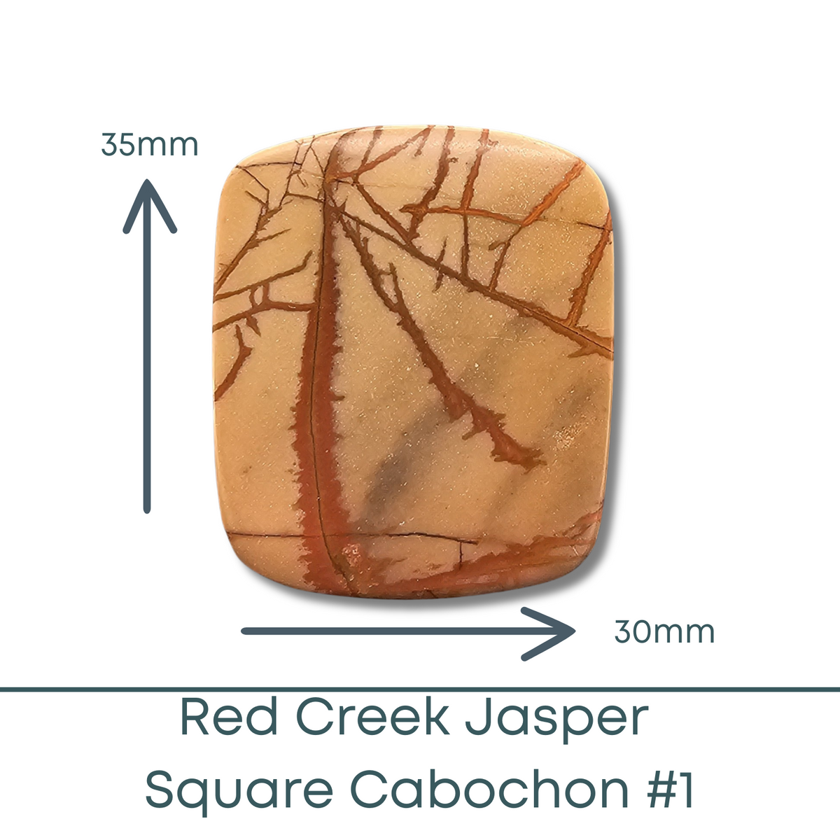 Red Creek Jasper Square Cabochon #1 - The Argus Collection