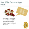 Star 2024 Ornament Pattern par Puca