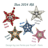 Star 2024 Ornament Pattern par Puca