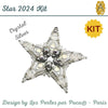 Star 2024 Ornament Complete Bead Kit, design by Les Perles par Puca®