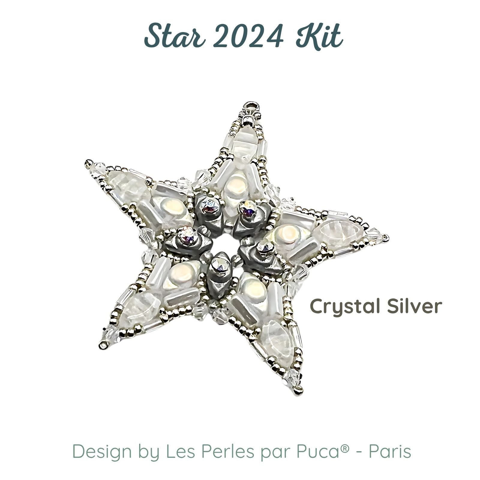 Star 2024 Ornament, Complete Bead Kit