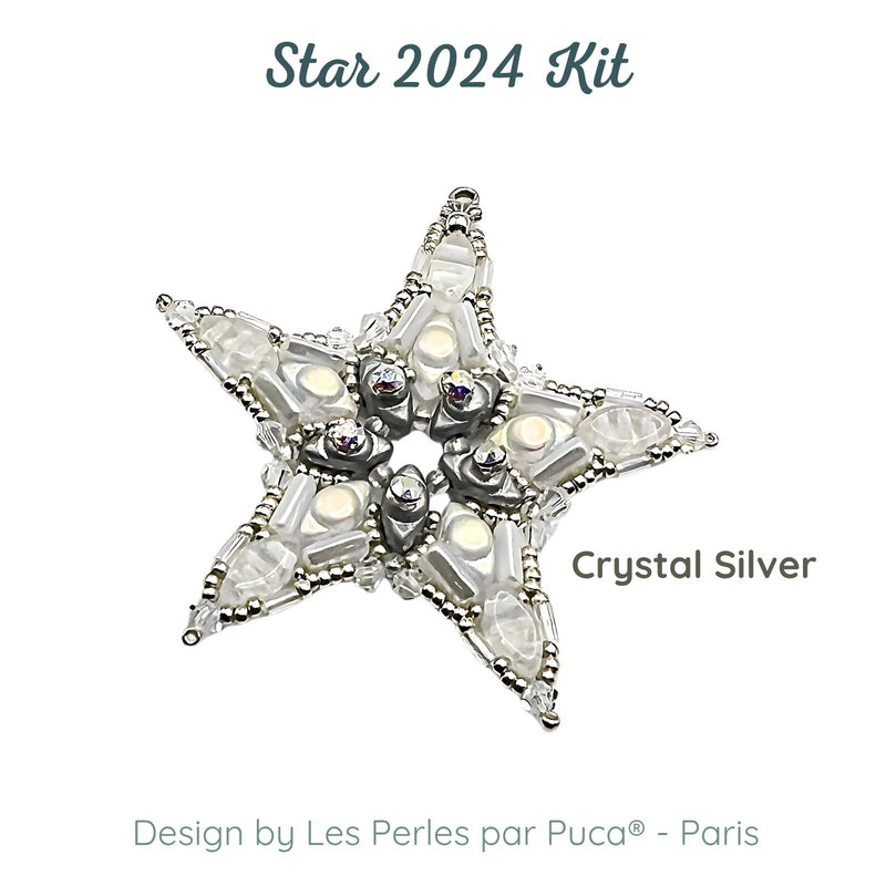 Star 2024 Ornament, Complete Bead Kit