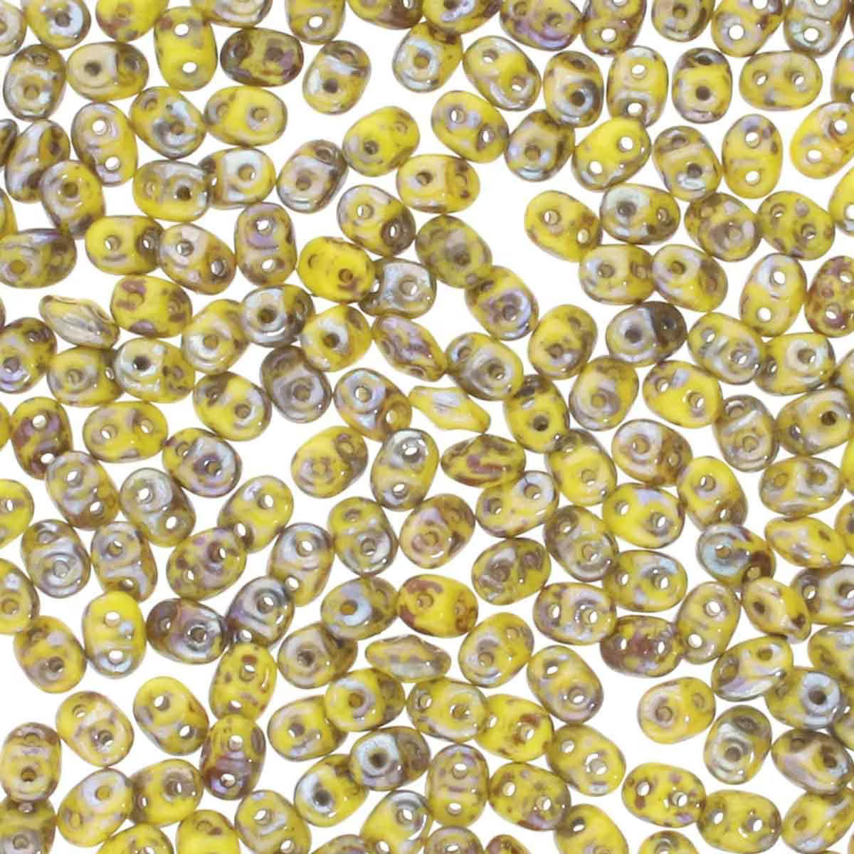 Superduo Lemon Rembrandt
