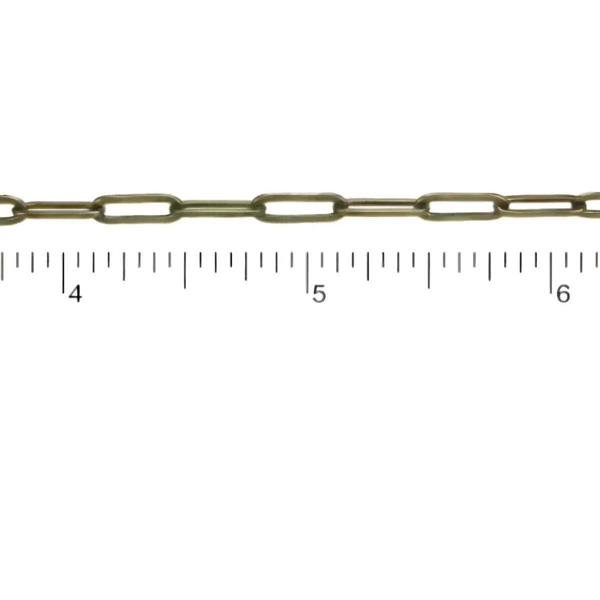 ThinCableEuroChainAntBrass-Example - The Argus Collection