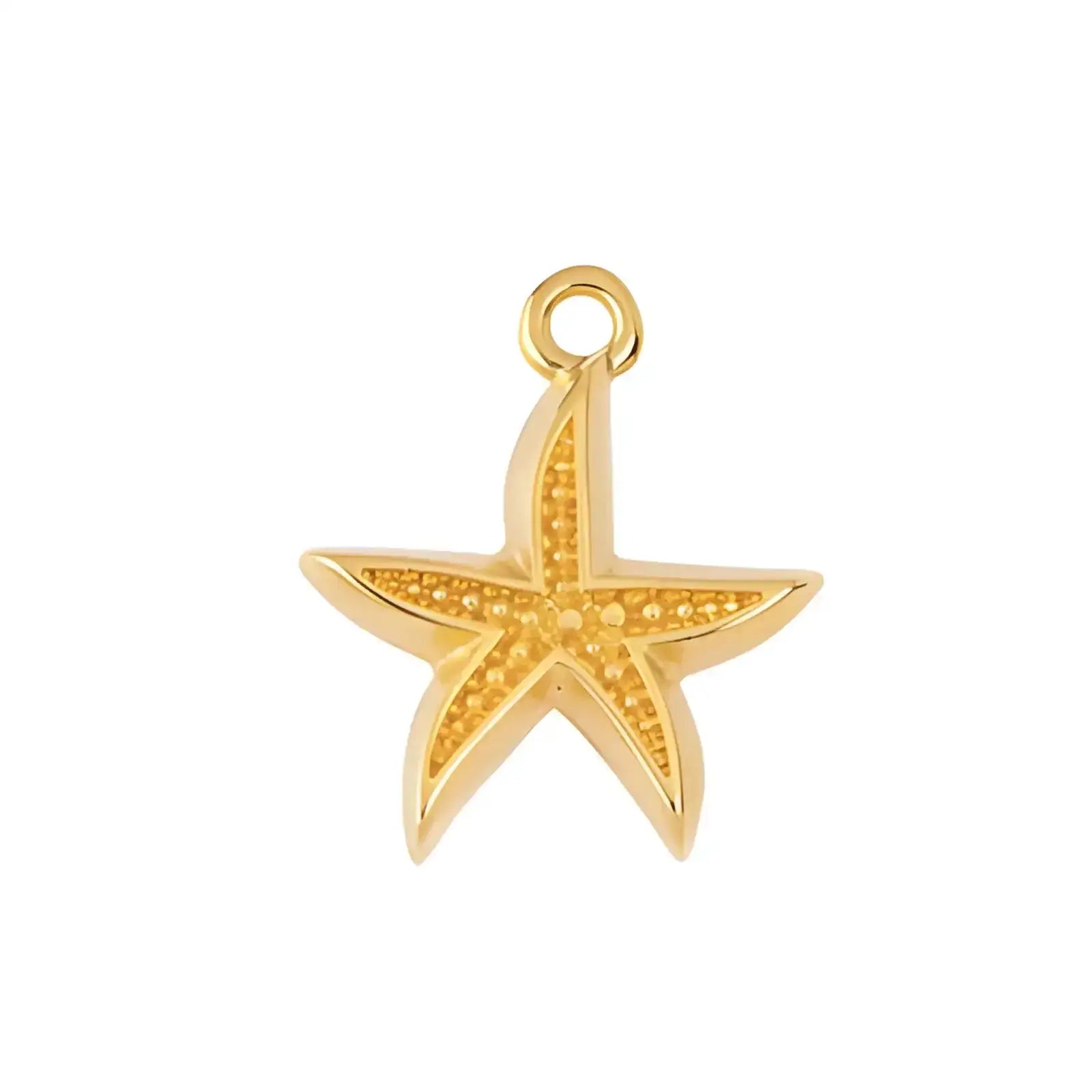 Tidal Starfish Pendant 1 Loop - The Argus Collection