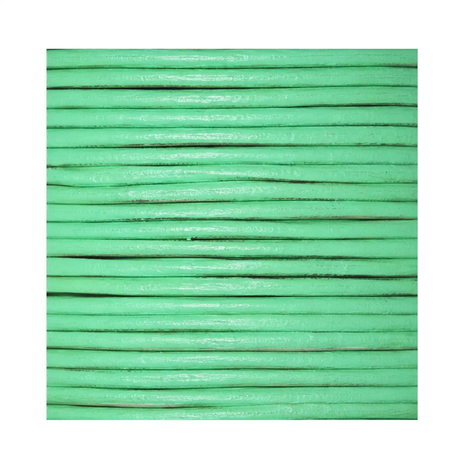 TopHideRoundLeather-Mint - The Argus Collection