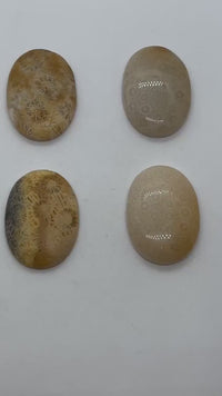 FOSSIL CORAL Cabochons, Glossy or Matte, Lovely for Bead Embroidery, Wire Wrapping, Bezelling